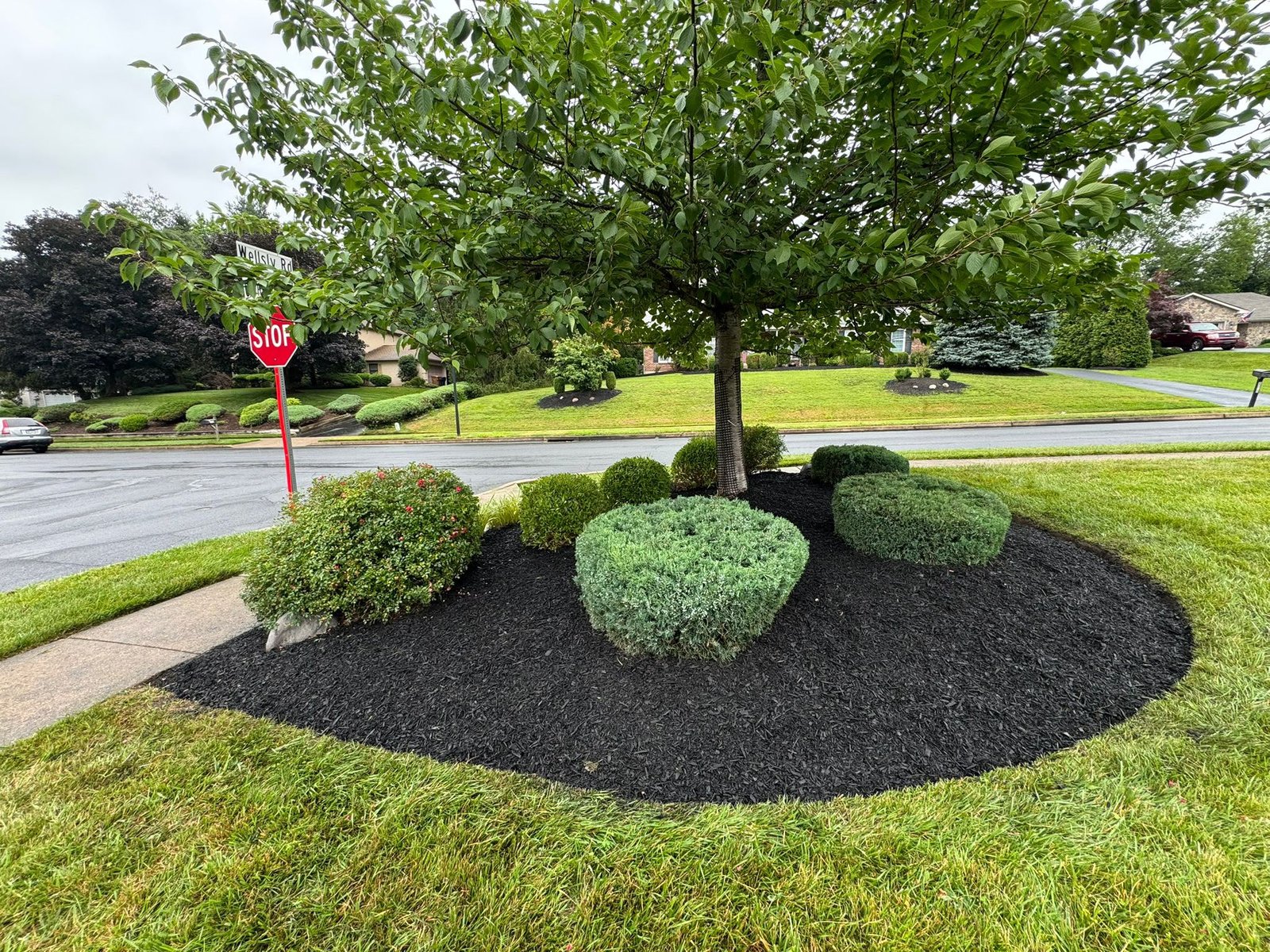 Mulch installation work by Green Force Property Services